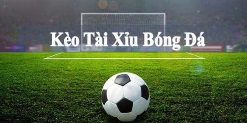 Tìm hiểu thông tin về kèo tài xỉu trong bóng đá